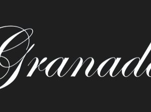 Granada concert gitaren
