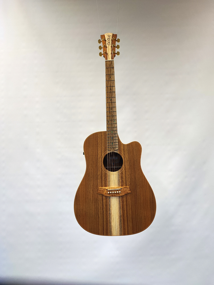 cole clark fl2ec blbl