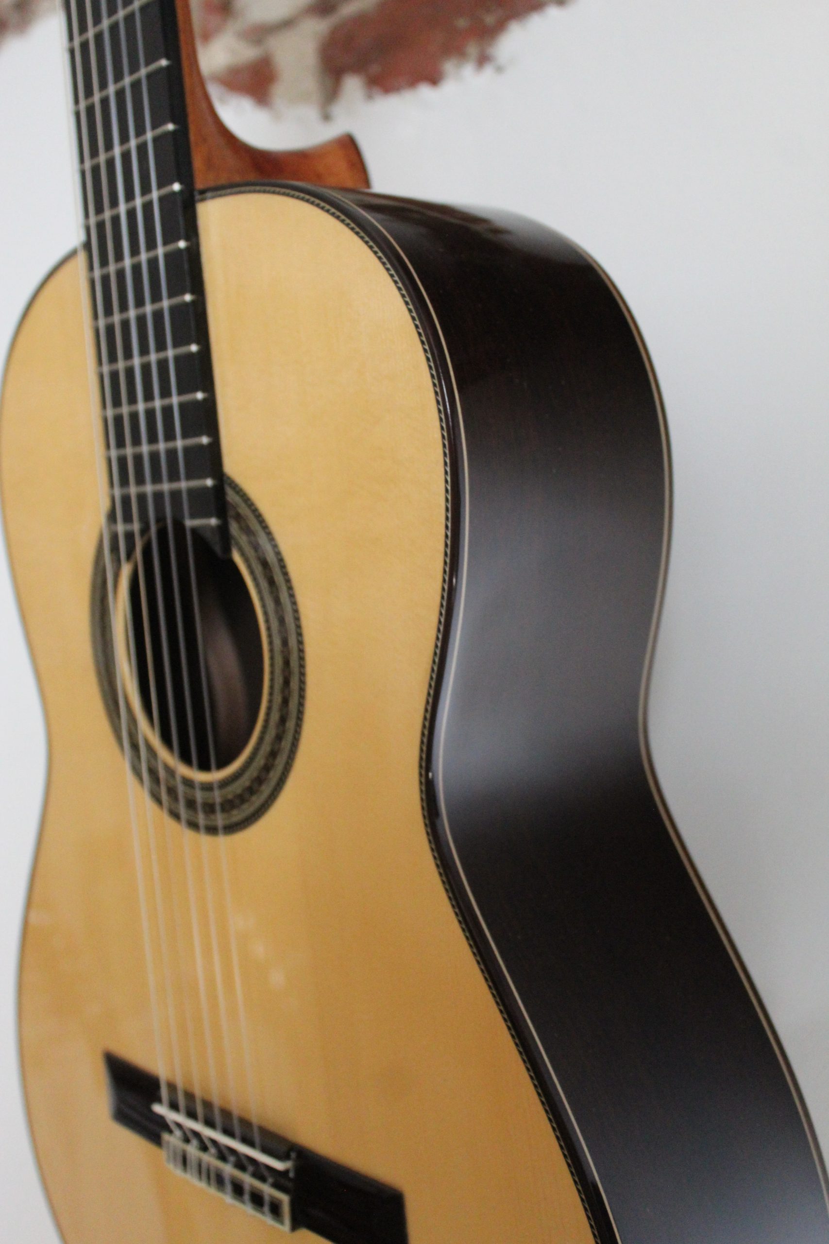 Juan Hernandez Estudio Spruce - Afbeelding 2
