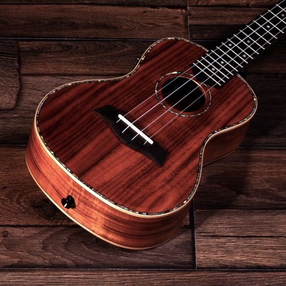 B&M concert ukulele BM 7ce