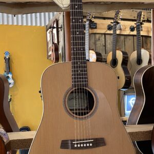 Kremona F10CE met Fishman pick-up