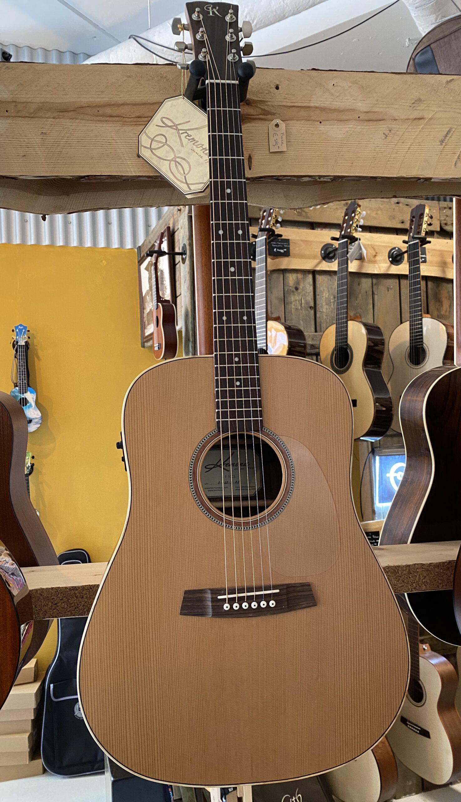 Kremona F10CE met Fishman pick-up