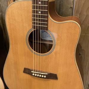 Kremona M20E met LR-baggs pick-up