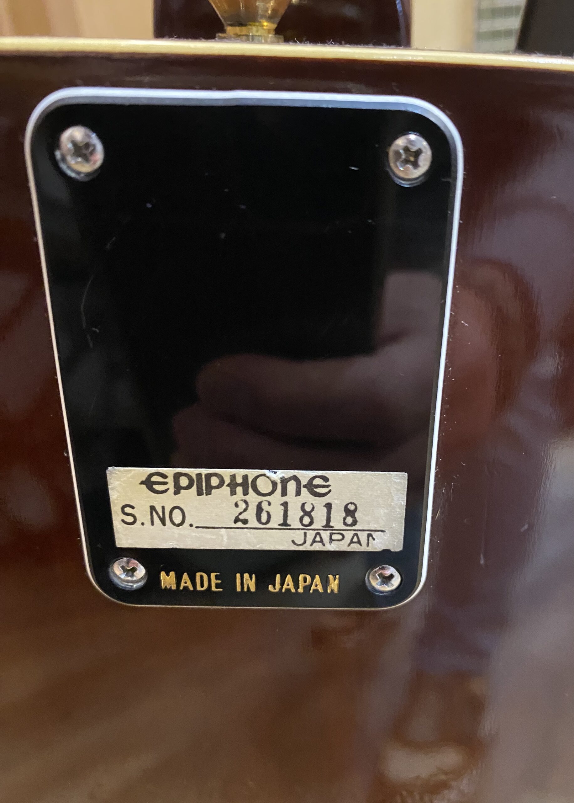 Epiphone FT-145 (pre-loved) - Afbeelding 7