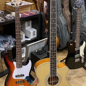 Brunswick acoustic bass