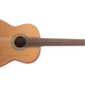 Hofner HLE-TIZ24