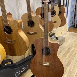 Cole Clark SAN1EC-RDSO studio
