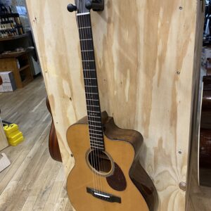 Eastman E1omce special