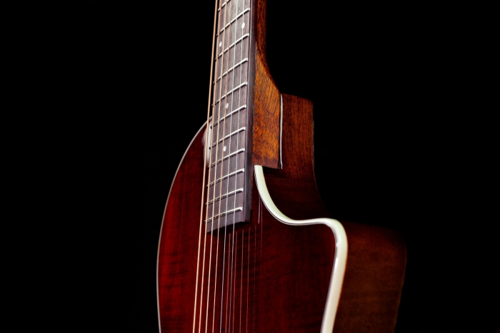 Rathbone Showmaster Thinline (Semi Hollow body & electro) - Afbeelding 4