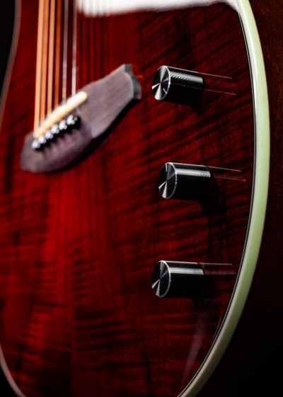 Rathbone Showmaster Thinline (Semi Hollow body & electro) - Afbeelding 3