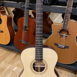 Tyrone Gold OM Rosewood